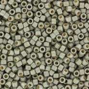 Miyuki delica Beads 11/0 - Duracoat galvanized matted ligt pewter DB-1851F